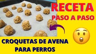 Receta de Croquetas de Avena para Perros  Comida para Perros Natural  Comida Casera para Perros [upl. by Gough228]