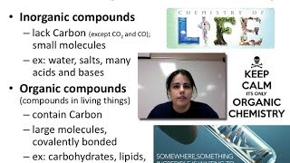 Biochem amp Carbohydrates Unit 1  Video 5A [upl. by Aderb]