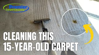 Mastering Carpet Cleaning Stain Treatment and Steam Cleaning Tips [upl. by Nalaf]