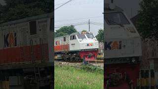 KA MALIOBORO EKSPRES DATANG STASIUN WLINGI [upl. by Elcin]