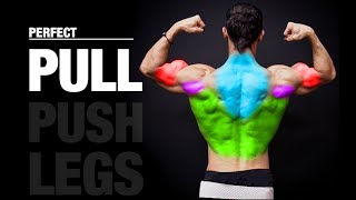 The PERFECT Pull Workout PUSH  PULL  LEGS [upl. by Ahto]