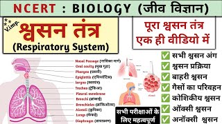 श्वसन तंत्र  Respiratory system  respiratory system in hindi  Biology  Study vines official [upl. by Eseuqcaj743]