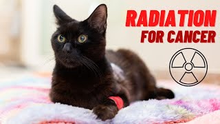 Cocos Journey through Radiation Sarcoma Cancer Treatment for a Cat [upl. by Anitsirt652]