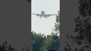 KLM LANDING AMSTERDAM SCHIPHOL AIRPORT  PLANE SPOTTING [upl. by Malda]