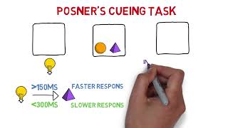 Posners cueing task  MinsEducation [upl. by Napier179]