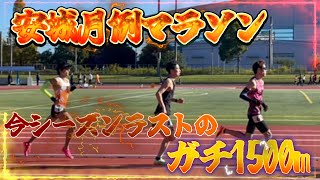 今季ラストの1500m 安城月例マラソン [upl. by Llenehs495]