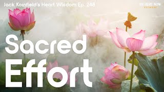 Jack Kornfield on Sacred Effort  Heart Wisdom Ep 248 [upl. by Damalus128]