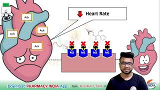 MECHANISM ACTION OF ATROPINE  PHARMACOLOGY [upl. by Arayt838]