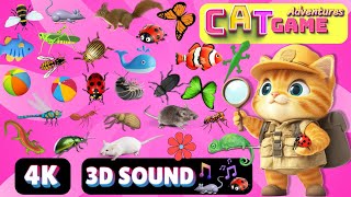 CAT Games Adventures  Ultimate Cat TV Compilation Vol 20  SPECIAL EPISODE 8 HOURS🐝🐞🦋🦎🦜🐜🐭🧵 NO ADS [upl. by Neirual412]