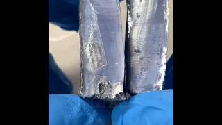 🤯 potassium metal and sodium metal which is more reactiv science viral ytshorts fact shorts 🤯 [upl. by Swithbart]