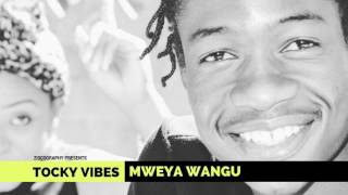 Tocky Vibes  Mweya Wangu Zimdancehall June 2017  zimbabwe songs 2017 [upl. by Ariane]