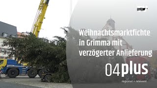 Üppiger Weihnachtsbaum für den Grimmaer Markt sträubt sich gegen den Transport [upl. by Nahsez554]