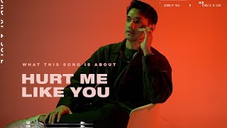 Afgan  hurt me like you Song Facts [upl. by Sessylu]