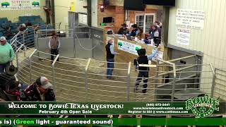 Bowie Texas Livestock February 4th Open Sale [upl. by Derwood]