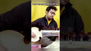 Anondoloke Mongolaloke 🎼🎧 Best of Rabindranath Tagore Instrumental on Sarod shorts shortsfeed [upl. by Jaenicke]