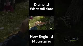 Diamond Whitetail deer in New England Mountains [upl. by Rialcnis]