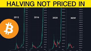 Here’s Why the Bitcoin Halving Is NOT Priced In [upl. by Atikan]