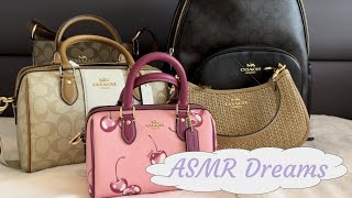 ASMR  Purse Shopping [upl. by Orion]