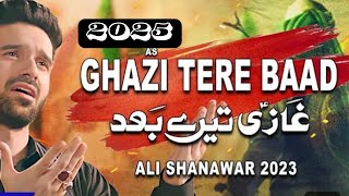 Nadeem Sarwar noha 202425  Teri bajo veeran ghazi  Ali shanawar noha  Ali jee noha 202425 [upl. by Adnertal]