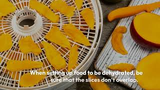 How to Make the Most of Your Nesco Food Dehydrator [upl. by Gimpel]