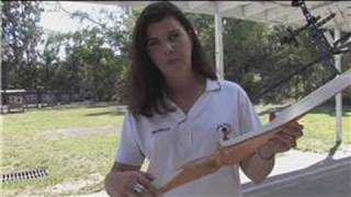 Archery Tips  How to Make a Flat Bow [upl. by Trella45]