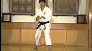 Hitoshi Kasya Basic techniquewmv [upl. by Ettelocin]