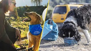 11 Essential Items You Need To Bring Your Dog Camping With You [upl. by Lehcear]