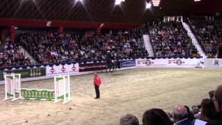 De Quidam Halle Münsterland 2015 [upl. by Yhtorod115]