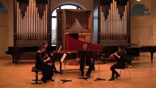 Jan Dismas Zelenka  Trio Sonata No 5 in F Major ZWV181 for 2 Oboes Bassoon and Continuo [upl. by Nylidnam]