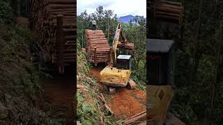 Timber neatly loaded process Good tools and machinery can quickly improve work efficiency [upl. by Nirrat81]