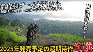 時間溶けるって2025年発売予定の新作ゲームが大作ラッシュ過ぎる世界が注目オープンワールド紅の砂漠からSIEの名作和ゲーパタポン続編おすすめゲーム20選【PS5PS4SwitchPC】 [upl. by Ellocin]