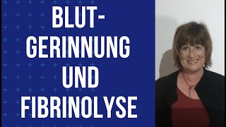 Blutgerinnung und Fibrinolyse [upl. by Alliuqat]