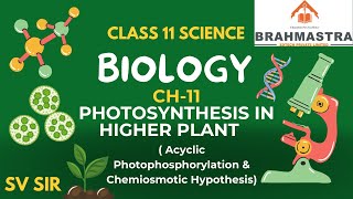 LEC 4  PHOTOSYNTHESIS  Acyclic Photophosphorylation amp Chemiosmotic Hypothesis [upl. by Ahsinehs145]