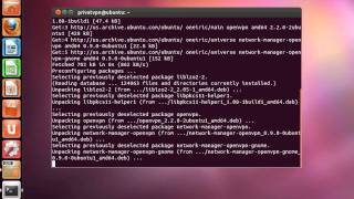 PrivatVPN  How to install Network Manager Linux Ubuntu [upl. by Niliak]