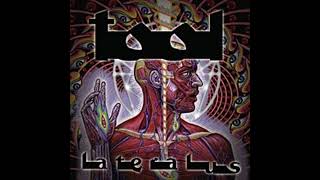 Tool  Lateralus  Vocals Only [upl. by Macario]