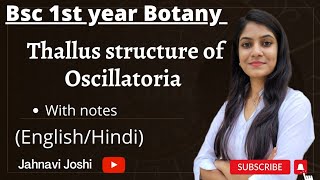 Oscillatoria thallus structure Notes Bsc 1st year Botany [upl. by Gerry]