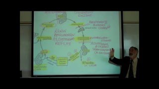 RENINANGIOTENSINALDOSTERONE REFLEX by Professor Finkwmv [upl. by Kind]