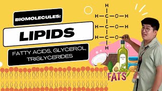 Lipids Fats Oils Waxes Steroids [upl. by Hort]