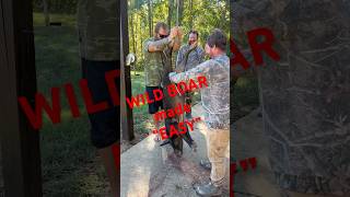 “TROPHY WILD BOAR “ skinning made EASY in Georgia hunting wildhogs trailcamera biggame hog [upl. by Egdirdle]