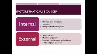 Antineoplastic Drugs [upl. by Delmor]