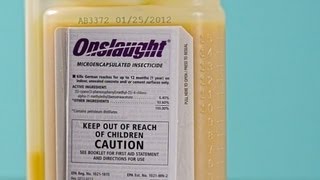 Onslaught Residual Insecticide Review [upl. by Neerahs]