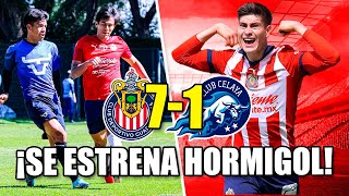 🚨SE ESTRENA HORMIGOL  Chivas 71 Celaya Resumen y goles [upl. by Thatcher]