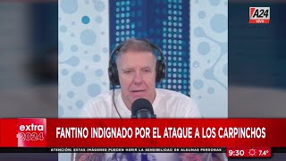 ✋ Fantino indignado por el ataque a los carpinchos en Nordelta [upl. by Cynthla489]