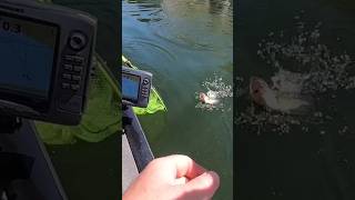 Fishing Team catchandrelease blackbass fishing life bass bassfishing pesca rio short lake [upl. by Stew366]