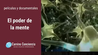 El PODER de la MENTE  FÃSICA CUÃNTICA  Camino Conciencia [upl. by Audry]