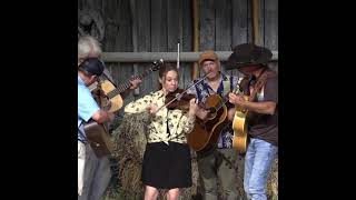 Mound Street Rag National Fiddle Contest Jacie Sites [upl. by Enimasaj]