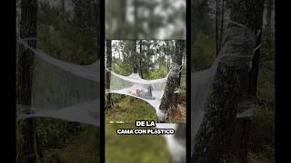 Su esposa lo echó de la casa así que construyó una casa de plástico en el bosque 👌👍 [upl. by Decker]