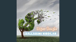 Dallarımı Kırdılar [upl. by Nannek185]