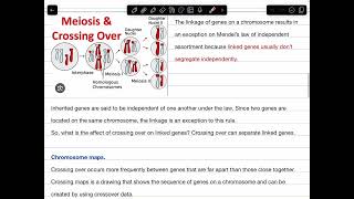 Lesson 2 genetic recombination and gene linkage [upl. by Einiffit335]