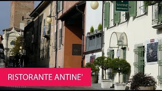 RISTORANTE ANTINE  ITALY BARBARESCO [upl. by Ahsenar477]